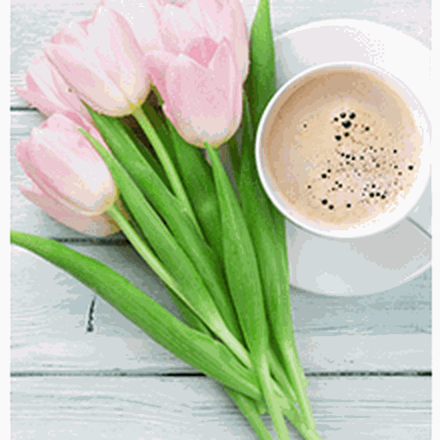 Günstige NESPRESSO Kapseln gesucht?